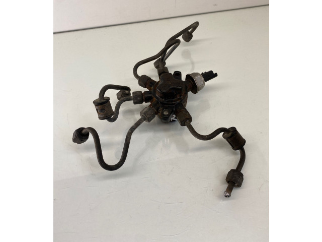 Топливная рампа 4M5Q9D280DB, 082030199 Ford Transit - Tourneo Connect