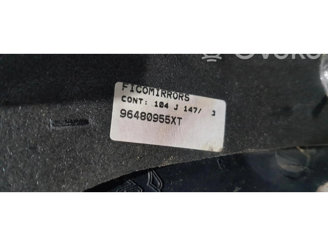 Zpětné zrcátko Peugeot 206+ 96480955XT