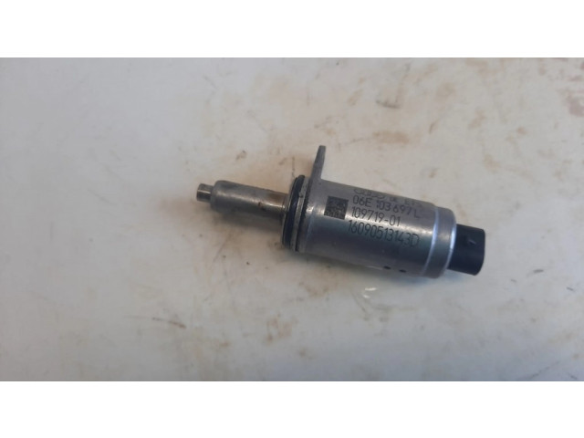 Варочный клапан Vanos