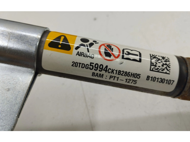 Turbodmychadlo Надувная подушка для крыши B10130107, PT11275   Opel Antara   