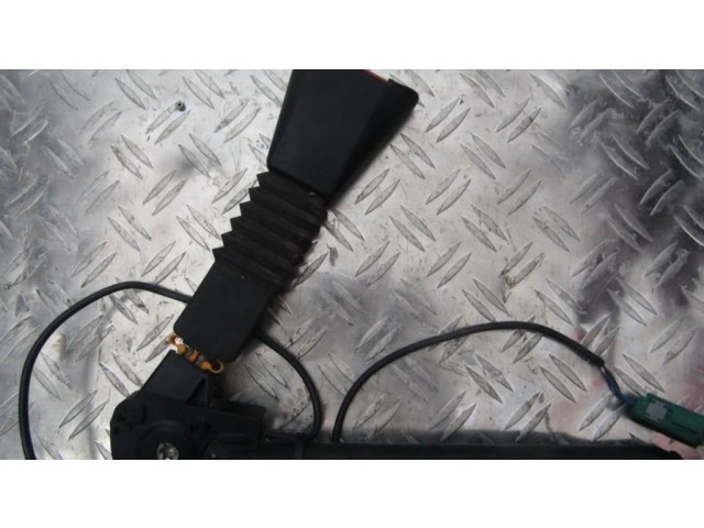 Передняя поясная пряжка