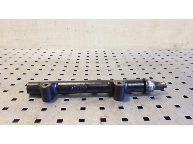 Топливная рампа 9807070880, 9664111780   Citroen DS4 1.6 