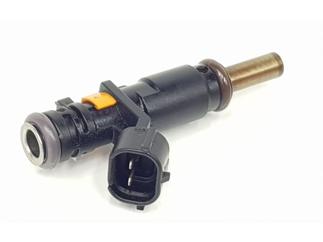 Форсунка 166008992R, 166008992R    Dacia Dokker   