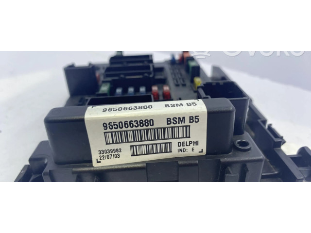 Pojistková skříňka Řídící jednotka BSM 1650882680 Peugeot 206 2004