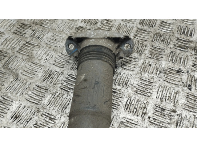 Задний aмортизатор      