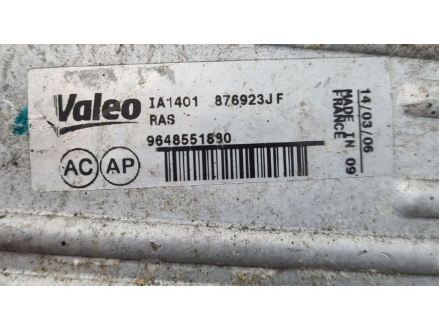 Интеркулер 876923JF, 9648551880 Peugeot 307 1.6