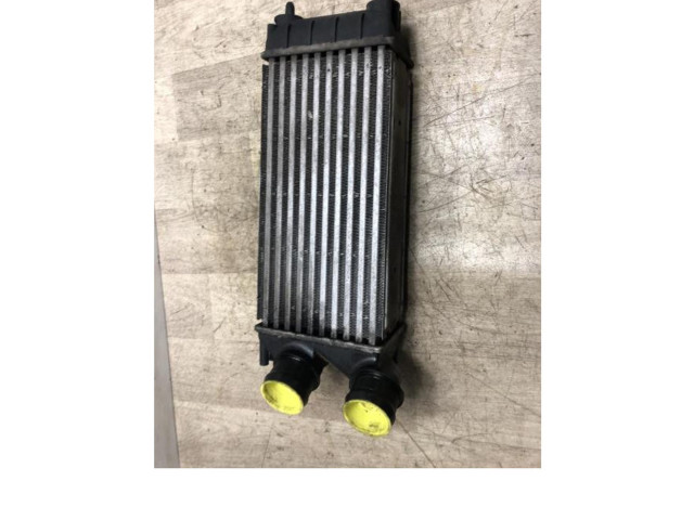 Интеркулер  0384N9, 0384N9   Peugeot 5008 