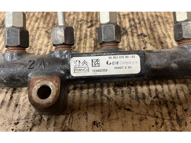 Топливная рампа 968529758002, 123403258 Citroen C4 I Picasso