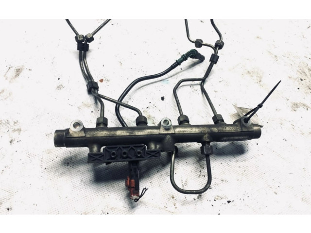 Vstřikovací lišta 0281002592, 001569 Peugeot 3008 I