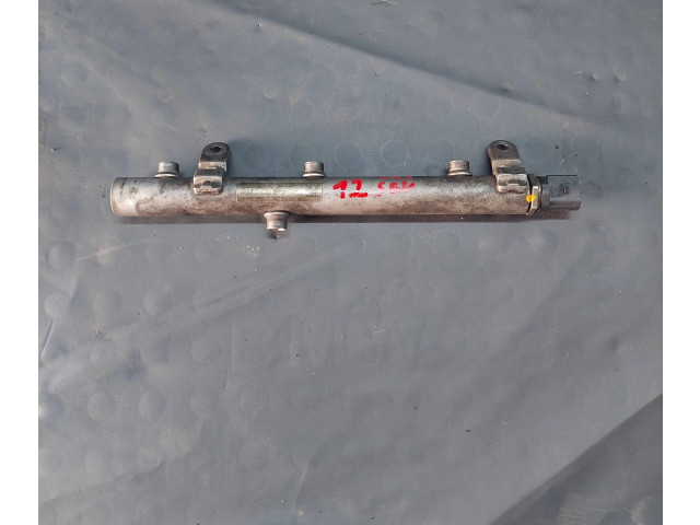 Топливная рампа A6420703095, 1110800048   Mercedes-Benz E W212   для двигателя 642858