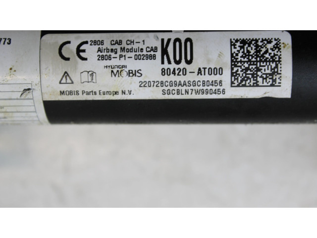 Turbodmychadlo Надувная подушка для крыши 80420AT000 KIA Niro