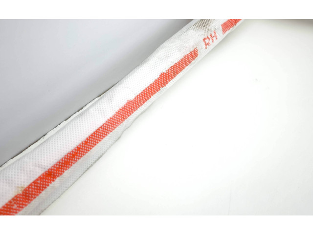 Боковая подушка безопасности 0589P1000343, 23120219   Tesla Model S