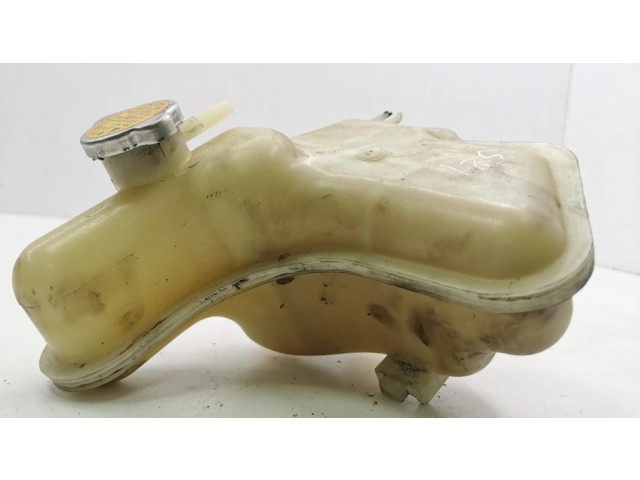 Расширительный бачок охлаждающей жидкости    