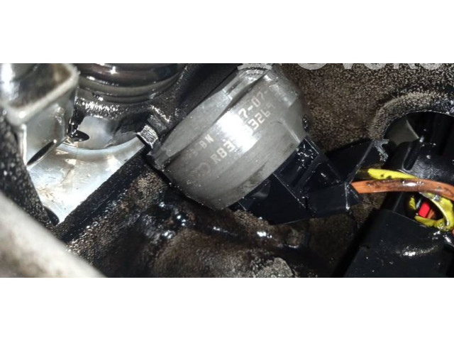 Форсунка 038130073BN, 038130073BN Skoda Octavia Mk2 (1Z)