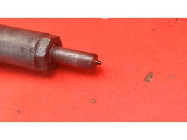 Форсунка 0445110252, 0445110252 Citroen Nemo