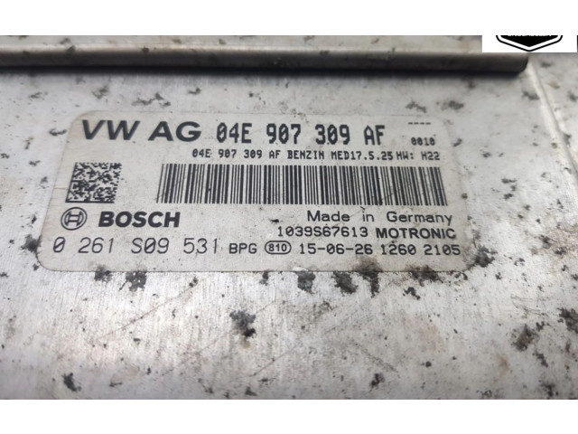 Блок управления двигателя 04E907309AF, 04E907309AF Skoda Fabia Mk3 (NJ)