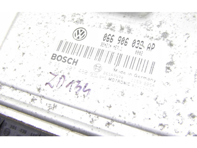 Řídící jednotka 066906032AP Volkswagen New Beetle 1998