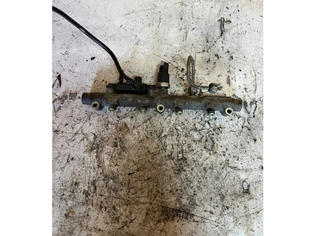 Vstřikovací lišta 0445214017 Peugeot 607