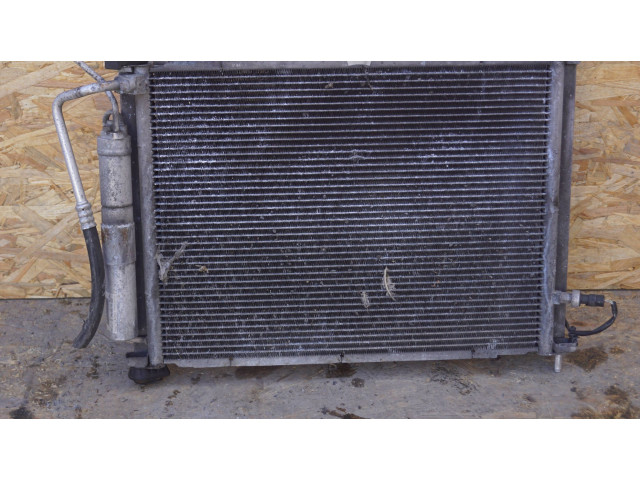 Комплект радиатора    Renault  Clio III  2005 - 2012 года