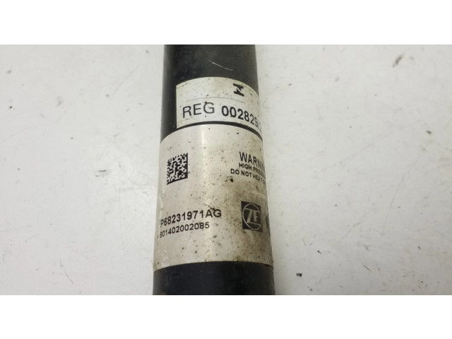 Задний aмортизатор      