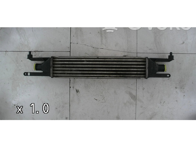 Интеркулер  0000050540161   Fiat Punto Evo 