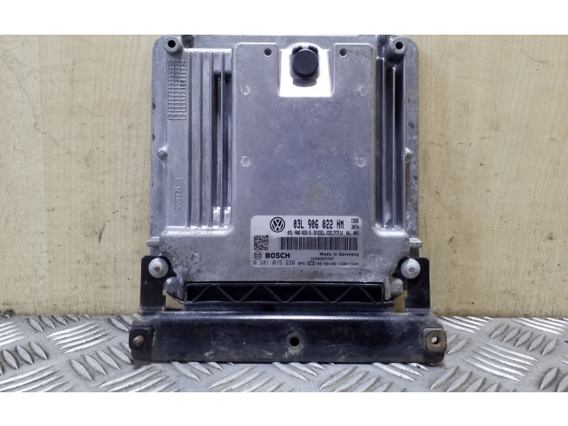 Řídící jednotka 03L906022HM, 0281015236 Volkswagen Tiguan 2008