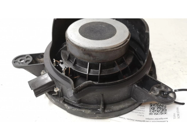 Громкоговоритель (громкоговорители) в задних дверях