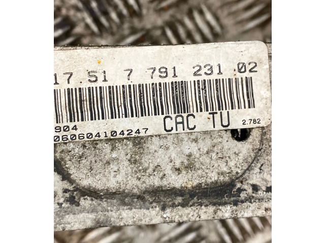 Vstřikovač 7791231 BMW X5 E53