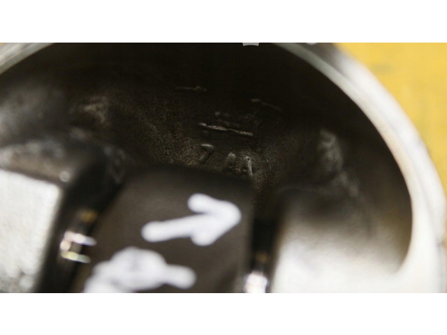 Поршень Renault Clio III