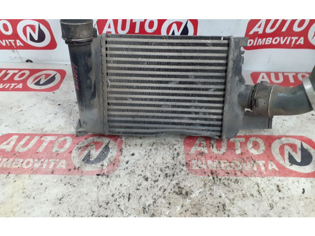 Интеркулер     Dacia Dokker 