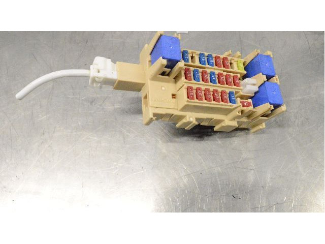 Pojistková skříňka Nssan Leaf I (ZE0) 2012