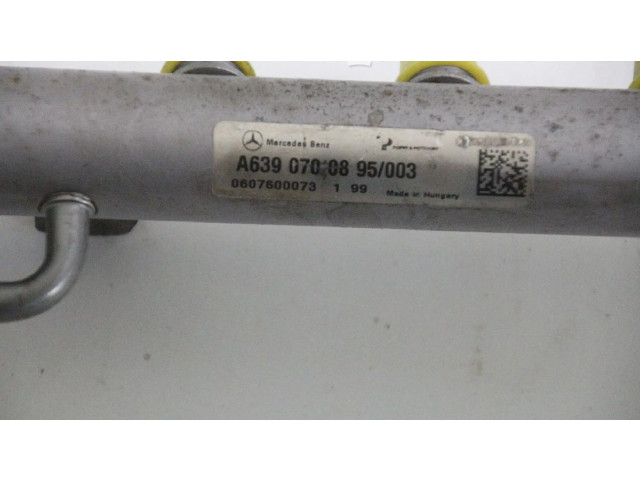 Топливная рампа 6390700895, 6390700895 Smart ForFour I для двигателя 639939