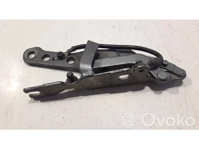 Петля (петли) капота двигателя