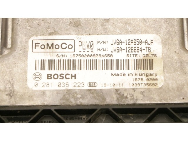 Блок управления двигателя 0281036223, 0281036223   Ford Transit -  Tourneo Connect