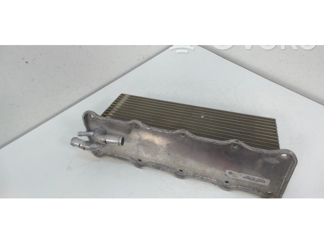 Интеркулер  04E145749B, 04E145749F   Audi A3 S3 8V 