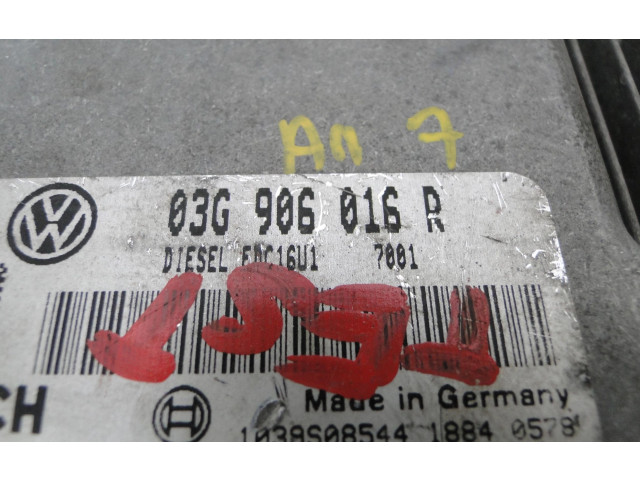 Блок управления 03G906016R, 03G906016R Volkswagen Golf Plus