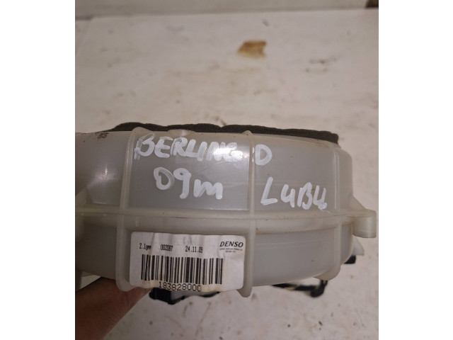 Вентилятор печки 9680490780, 183820200 Citroen Berlingo