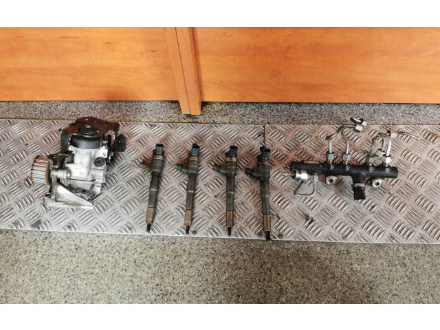 Комплект системы впрыска топлива 0445110485, 167007358R Renault Clio IV