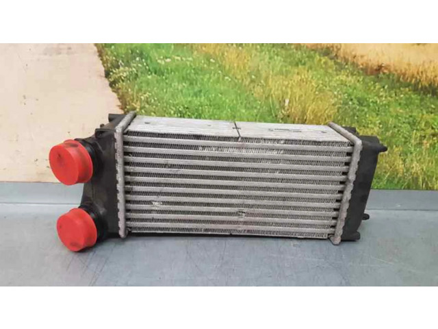 Интеркулер 9648551880, 876923J Citroen C4 I 1.6