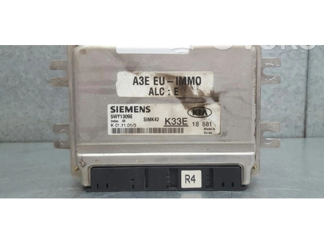 Řídící jednotka K33E18881, K33E18881 KIA Rio