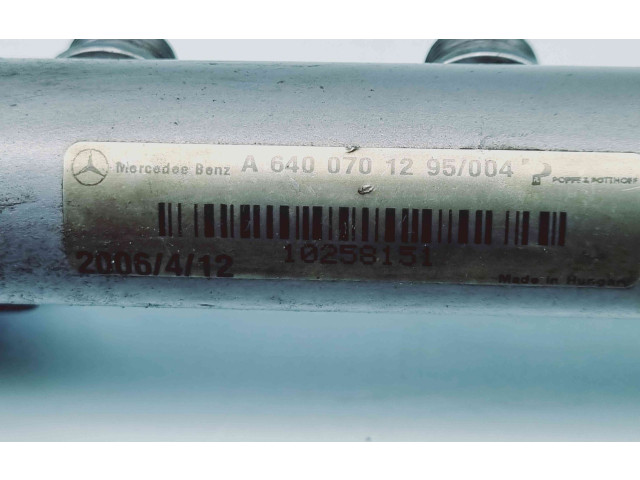 Топливная рампа A6400701295 Mercedes-Benz A W168