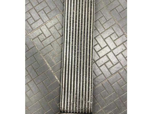 Интеркулер 9M519L440AC, T1851003 Volvo V50