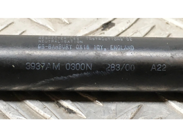 Амортизатор задней крышки