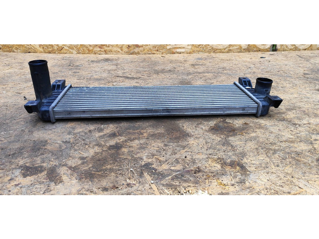 Интеркулер 621970, 2371109050 SsangYong Actyon