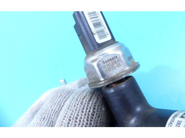 Vstřikovací lišta 9674300080-04, IMPRK1316245 Ford Kuga II