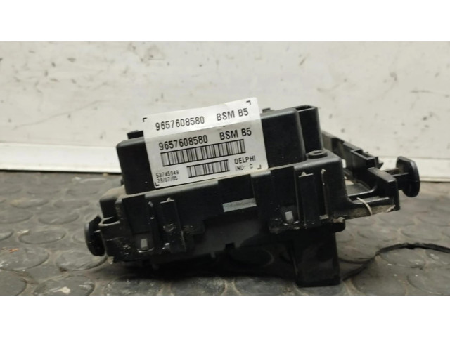 Pojistková skříňka 9657608580 Peugeot 206+