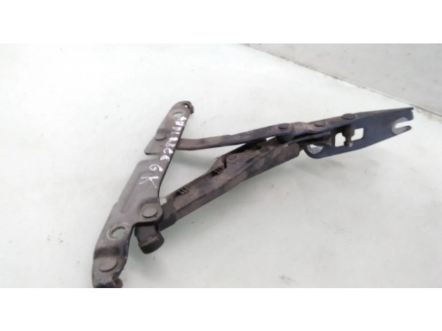 Петля (петли) задней крышки