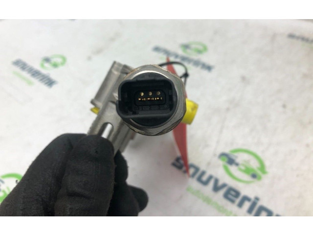 Топливная рампа 9802438180, 9675330380   Citroen C4 II Picasso   для двигателя EB2DTS(HNY)