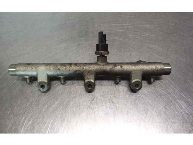 Vstřikovací lišta 0445214019, 021422   Peugeot 307    DW10ATED(RHS) 