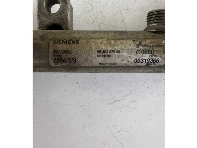 Vstřikovací lišta 9640387980 Peugeot 307